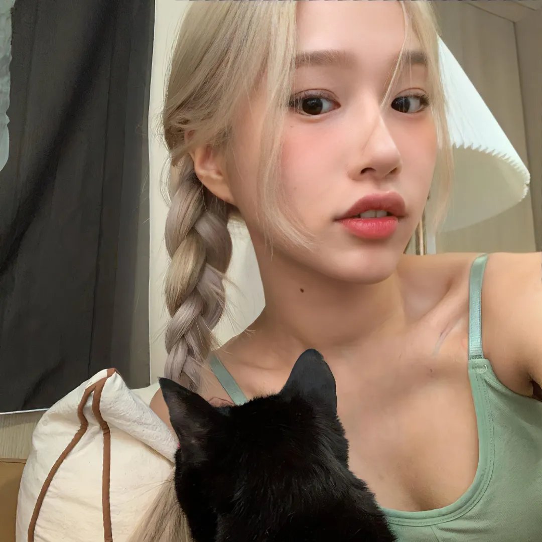 希德尼娅的骑士